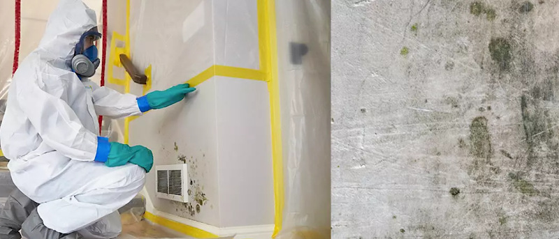 Xperts Mold & Water Restoration