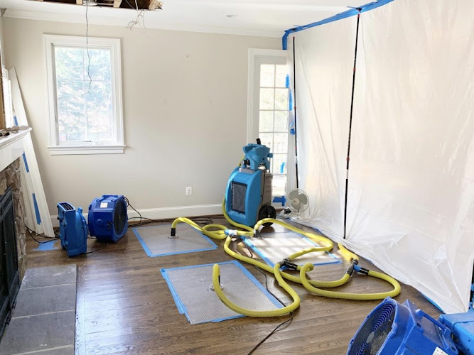 Absolute Force Water Damage Remediation and Mold Removal