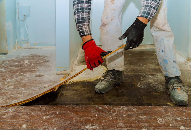 Ducktown Water Damage Solutions