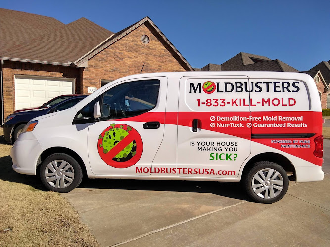 Mold Busters Fort Worth