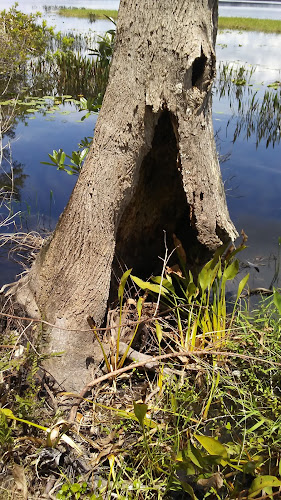 PROPERTY PRESERVATION AND REPAIR