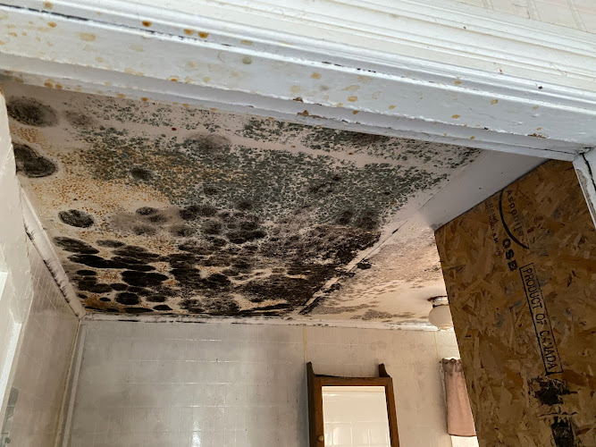 PuroClean Managed Services Of Vermont