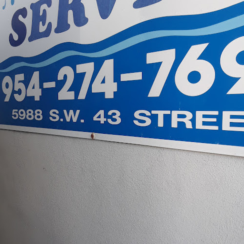 Burt,s Water Removal