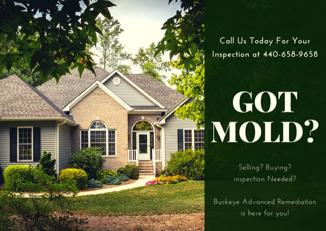 Buckeye Advanced Remediation