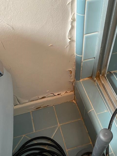 TFM Mold and Water Damage