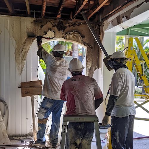 Holmes Mold Removal & Remediation Palmdale CA