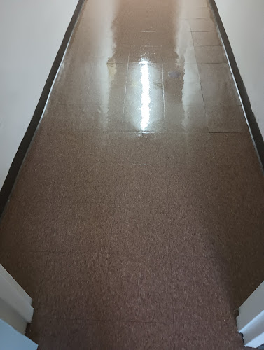 Angelo's Cleaning Conshohocken