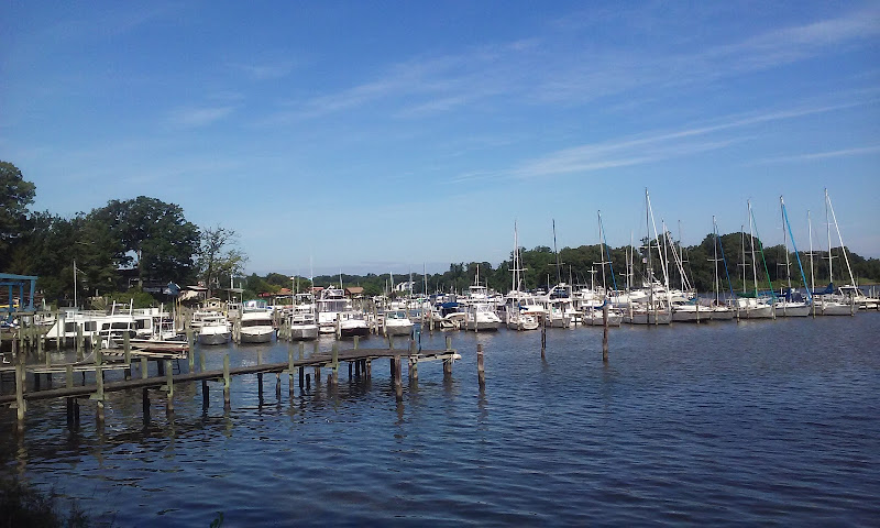 American Home Services Inc.