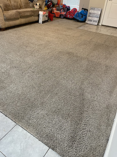Carpet Shield