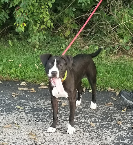 PREMIER RESTORATION & MECHANICAL SERVICES