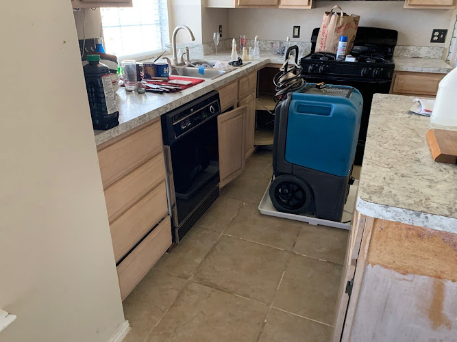 Dry Force Water Removal Specialists