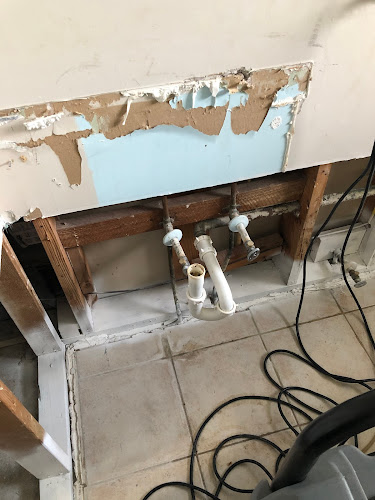 Mold Removal St Pete
