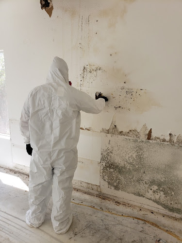 Rainbow International of Temecula