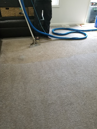 Neo Carpet and Upholstery Cleaning