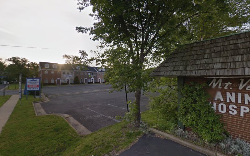 Alpha Industries Inc