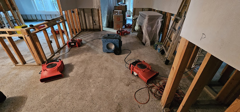 Disaster cleanup system of Florida,LLC