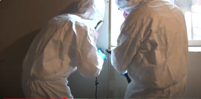 Urgent Mold Removal Phoenix