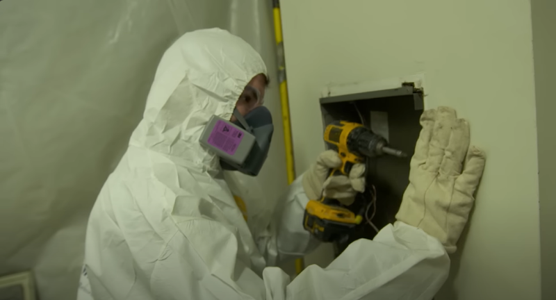 Urgent Mold Removal Miami