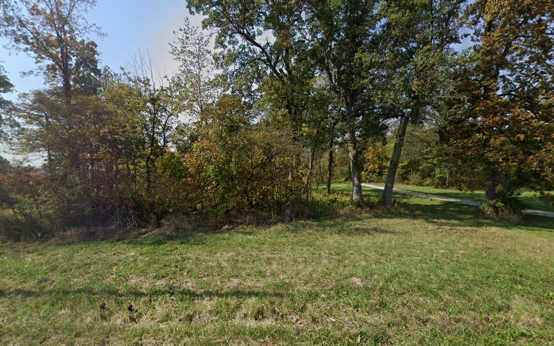 Tom's Cleaning Service