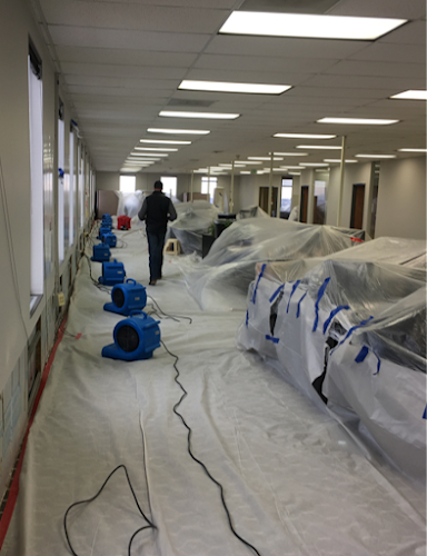 All Phase Restoration