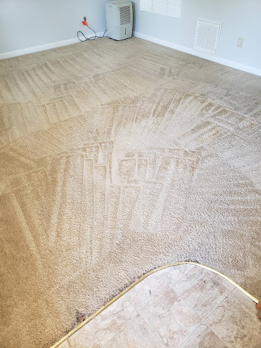 Ultimate Carpet Solutions