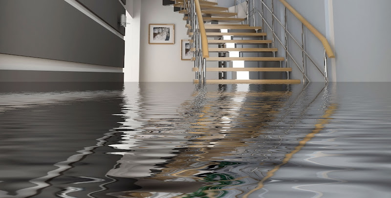 Clay Water Damage Restoration & Cleanup