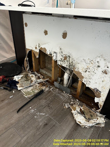 1-800 WATER DAMAGE of North Orlando