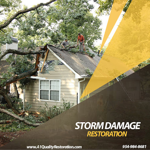 A1 Quality Restoration