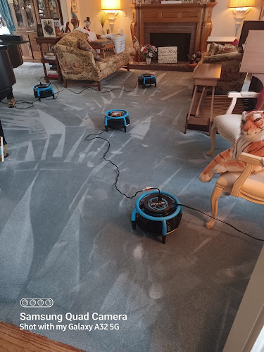 WATKINS CARPET CLEANING