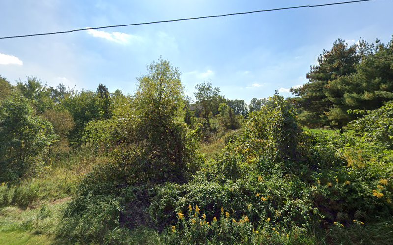 ZND-DNZ Mold Removal & Mold Remediation Service Dover, PA