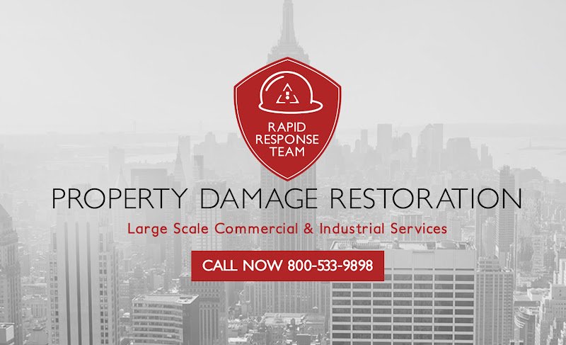 Signal Restoration Services