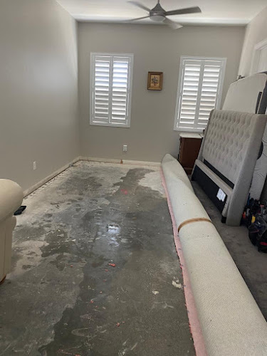 Water Damage Professionals