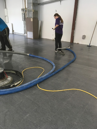 All Phase Carpet, Floor Cleaning and Flood Restoration LLC