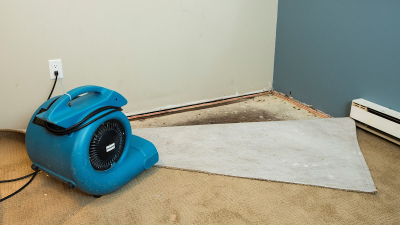 Water Damage Restoration and Repair Jamaica Estates