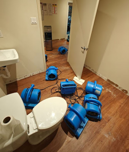 Mr Water Damage Restoration Los Angeles