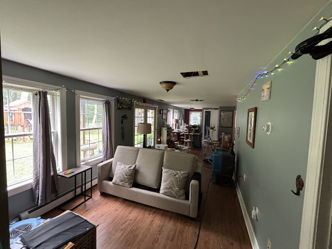 Pristine Mold & Water Damage Restoration