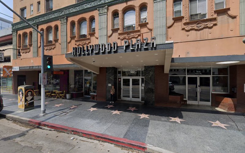 Wise Tools Water Damage Clean Up and Mold Remediation