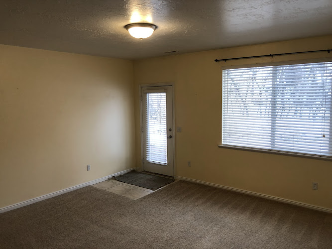 Signature Carpet Care