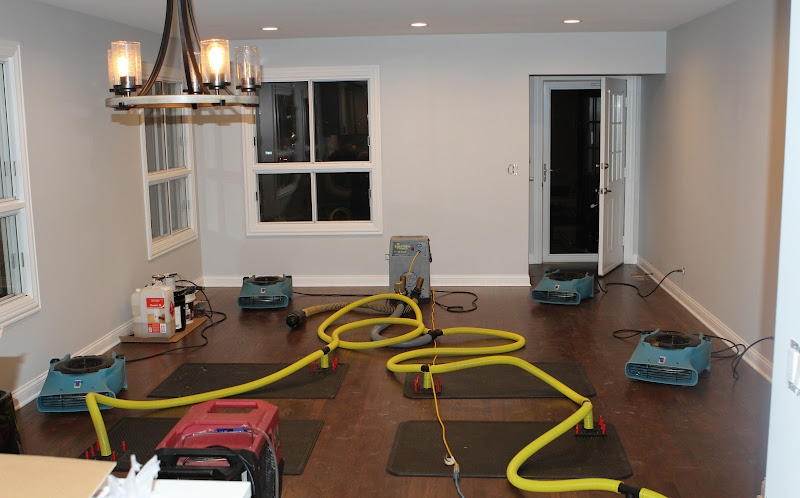 PureDry Water Damage Restoration