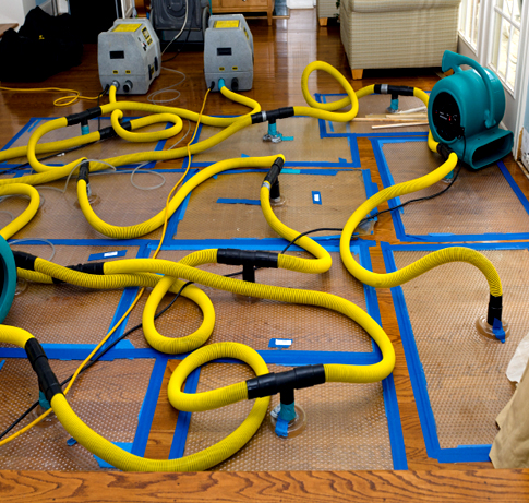 Royals Restoration Mold & Water damage experts