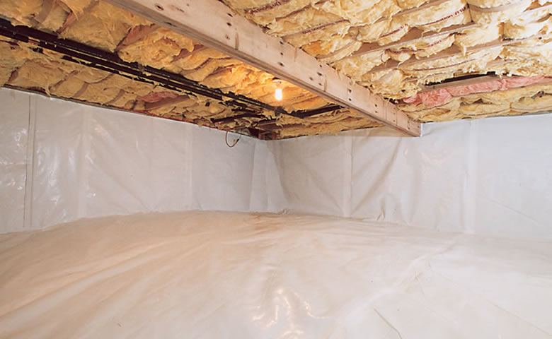 Pollution Solutions Remediation & Mold Services
