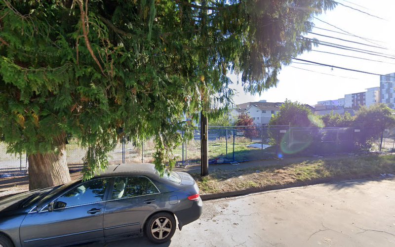 Montez Mold Remediation