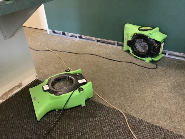 NEKO - Water Damage Restoration in Missouri City