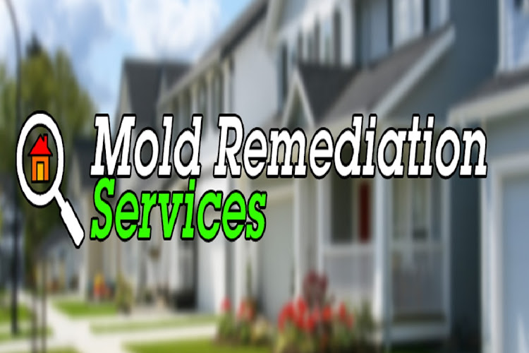 Global RestorationTeam