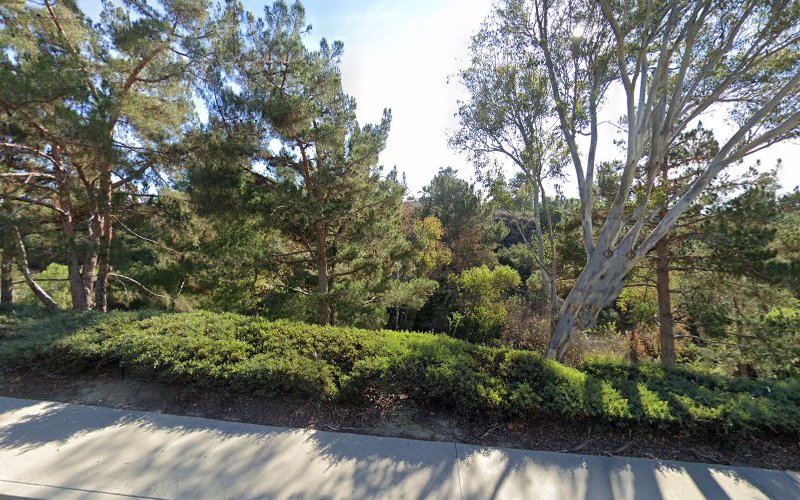 Water Damage Services Mission Viejo