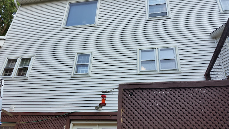 Kangaroo Carpet Cleaning Services