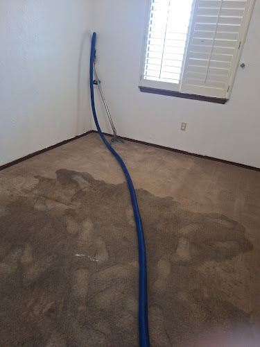 Lion Stop Loss Cleaning & Restoration