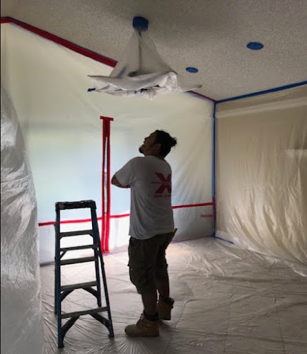 Express Mold Services