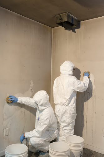 Rainbow International of Chicago North Shore