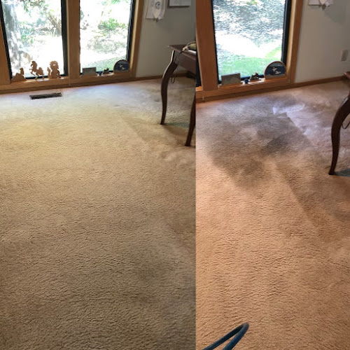 Esteam Carpet & Tile Care